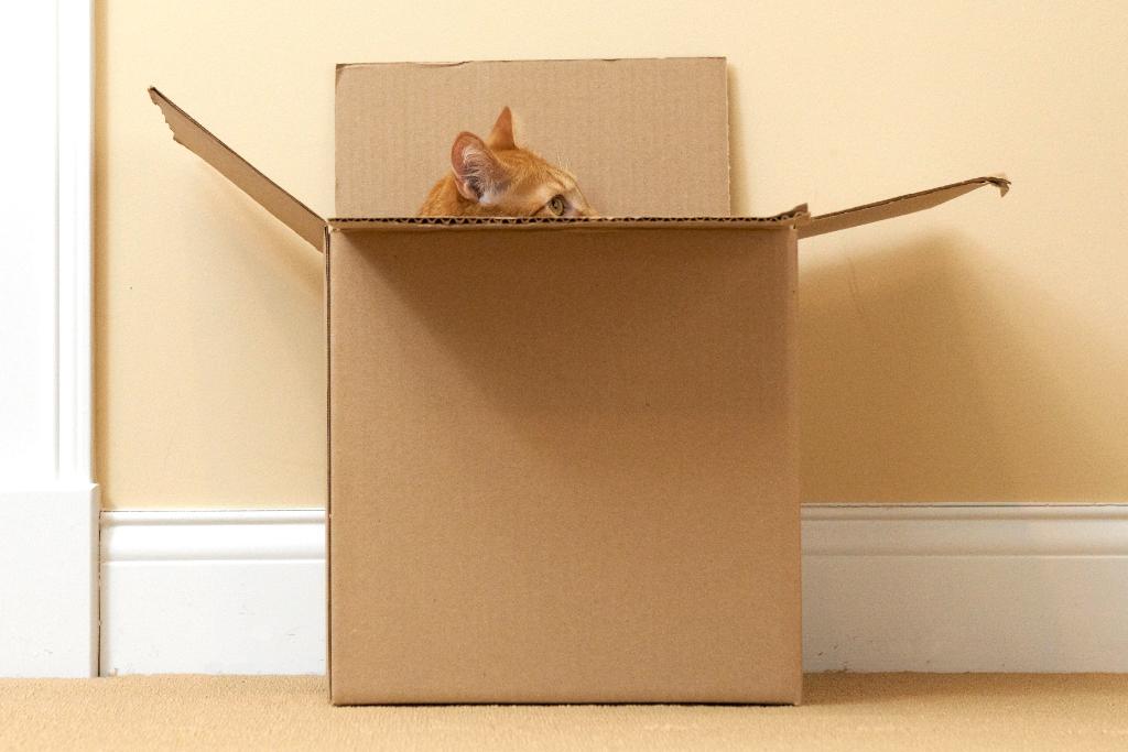 #TuesdayThoughts thinking inside the box is much more satisfying