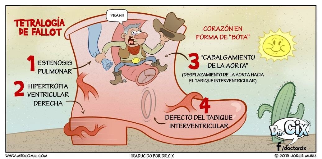 ᗰIЯ𝓉𝒾𝓇𝒾𝓏𝒶𝒹𝑜⚕ 🇲🇽 🇪🇸 tweet media