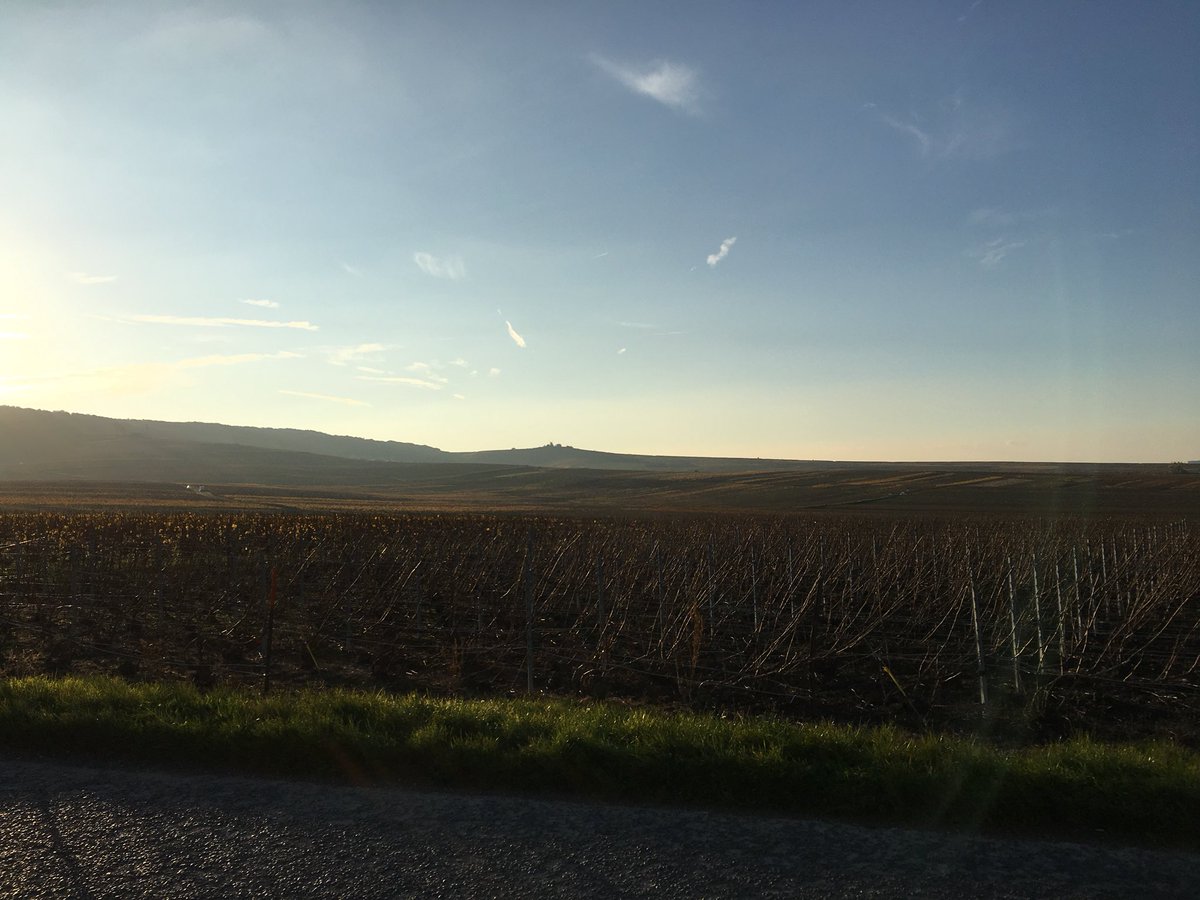 Louis Roederer tweet media