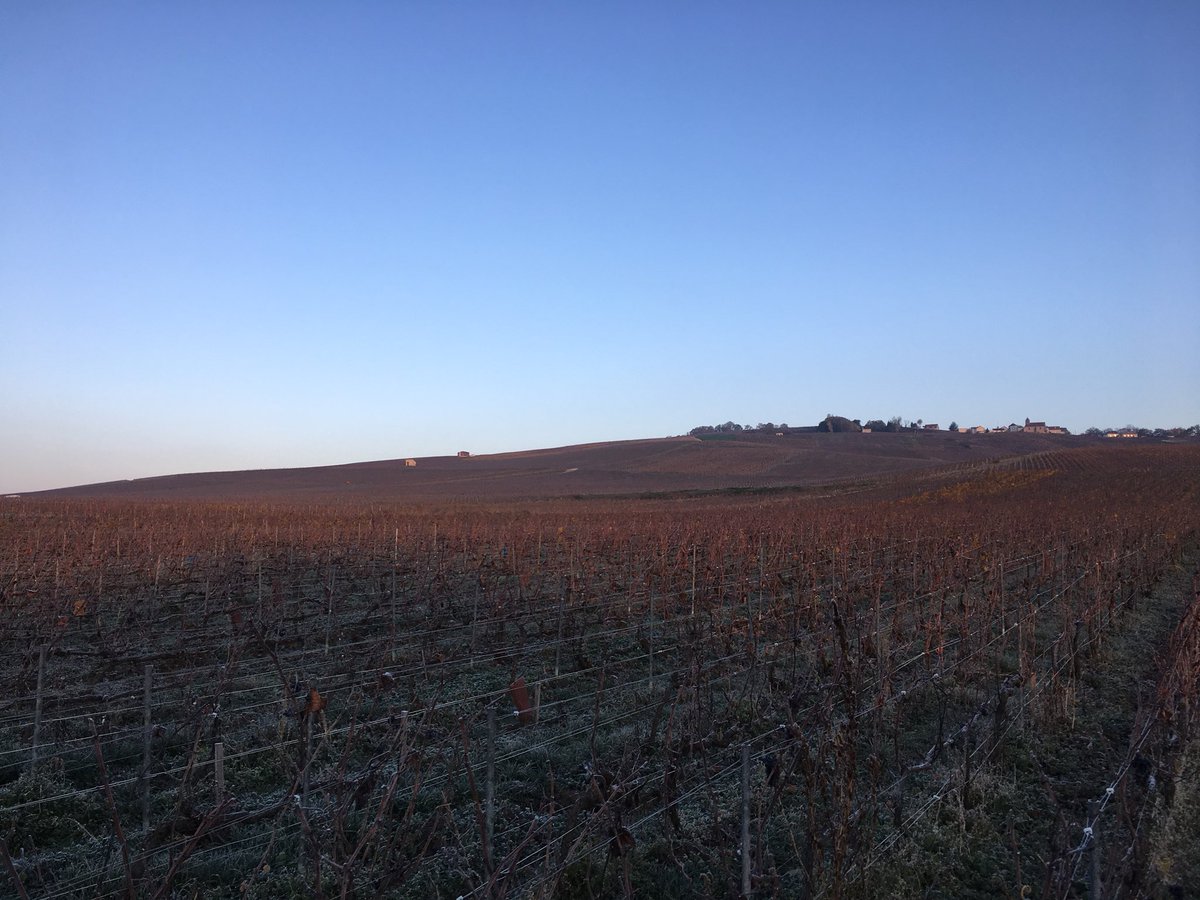 Louis Roederer tweet media