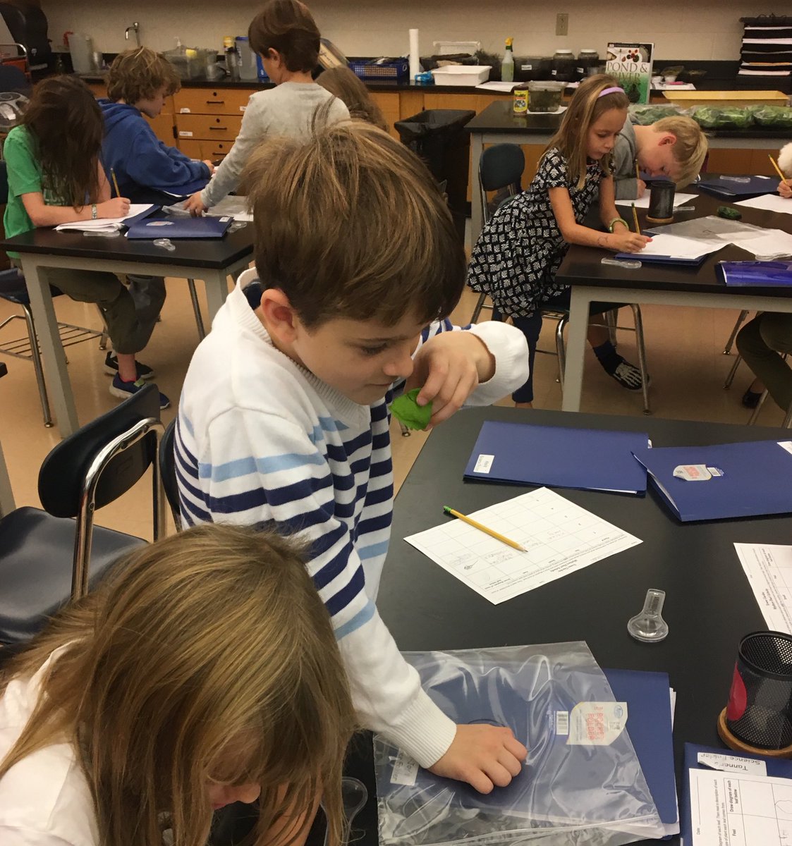 bxvsciencegirl's tweet photo. Our first harvest! Students use observation skills to determine what type of plant each leaf came from. 🌿🌱🍃
#towergarden
#mysteryplants https://t.co/UAF6eboYDp