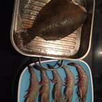 Photo by East Coast Fishing (@EastCoastFish)
