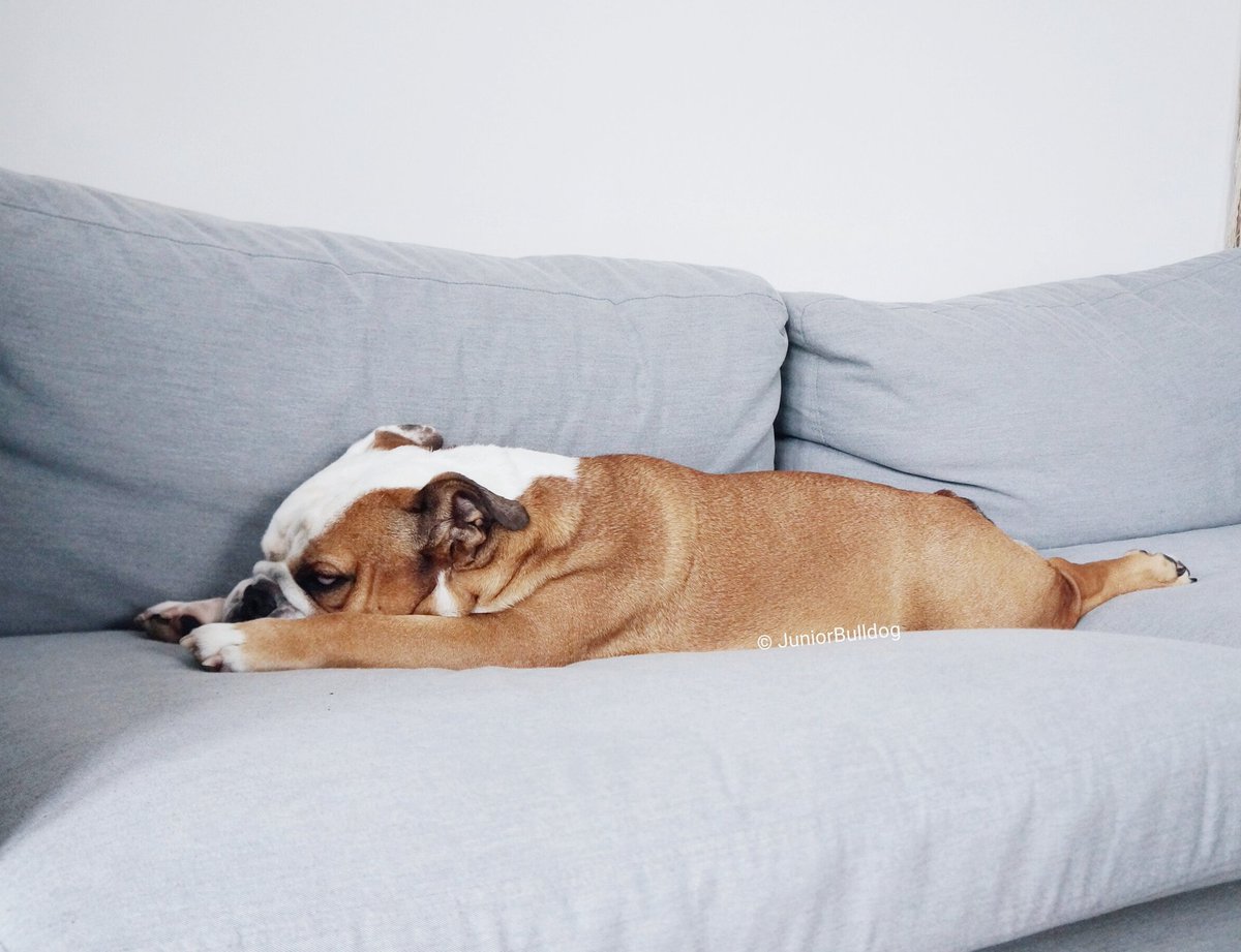 Aerodynamic nap 🏎️💨