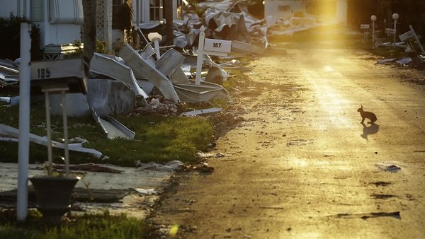BinTechPartners's tweet photo. This year, we have had more than enough opportunity to learn from Hurricanes #Harvey, #Irma, #Maria and #Nate. https://t.co/Bqn2UQMJhg https://t.co/bt8z8192Kl