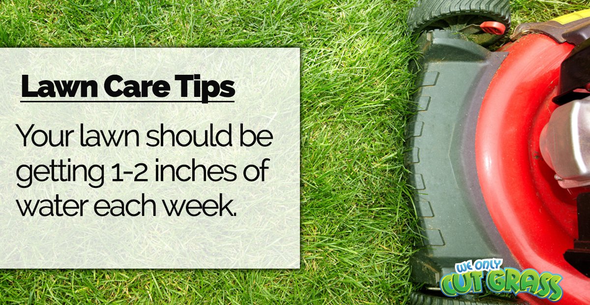 WeOnlyCutGrass1's tweet photo. Always use your sprinklers early in the morning to avoid the hot sun evaporating the water before it reaches the grass roots. #LawnTips https://t.co/qmJRhsT47R