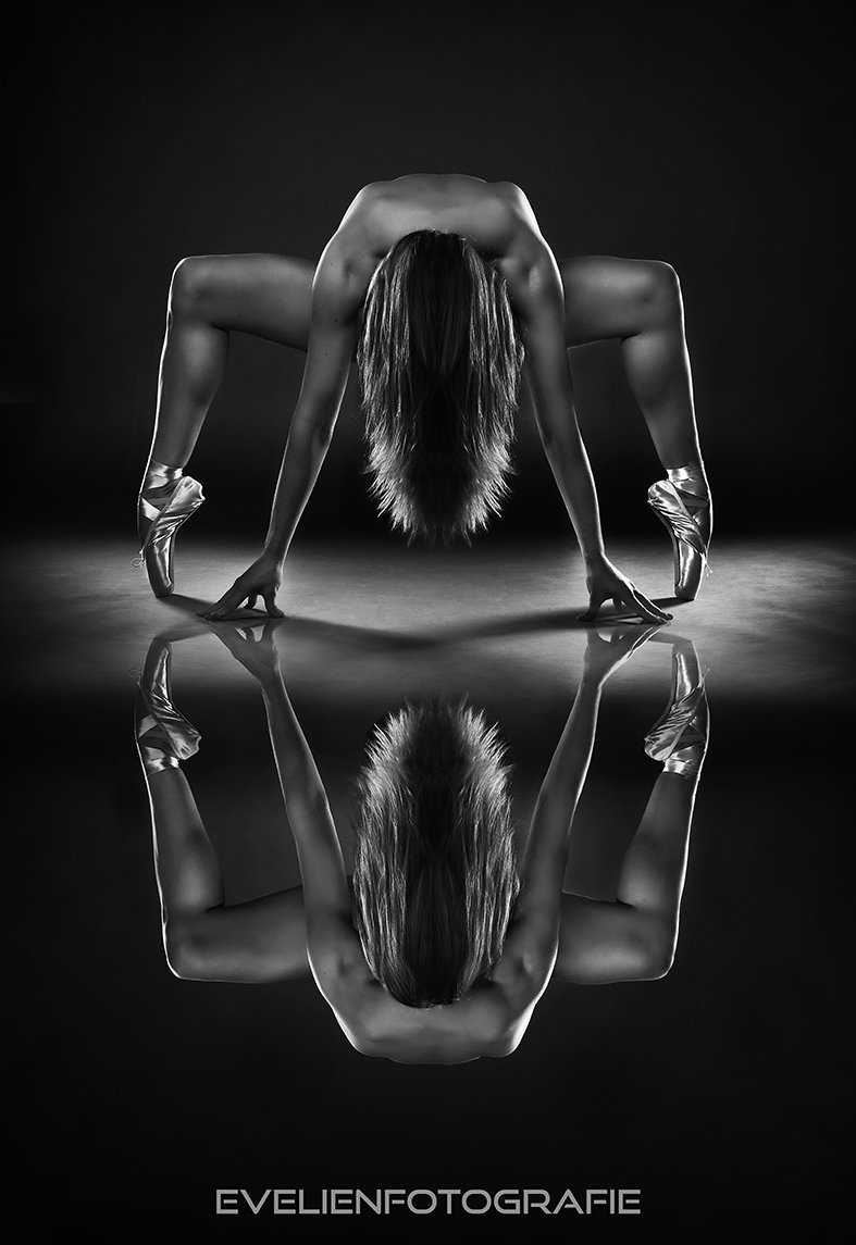 evelienfoto's tweet photo. GOUD AWARD ! Yes ik heb hem gewonnen met de jaarlijkse  themawedstrijd van het Master Photographers Network. Hey thema was REFLECTIE https://t.co/kDBqXm977j