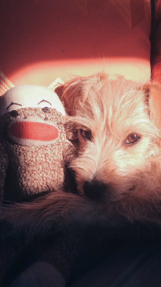 lifewithleroy's tweet photo. Selfie. https://t.co/dhqLoFuwip