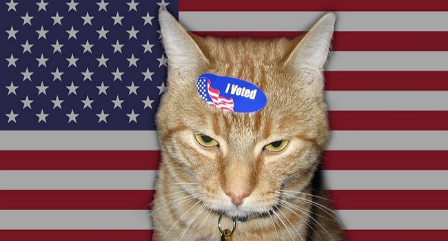 PCCPanther's tweet photo. Finally! #ElectionDay Did u get yar ballotz in? https://t.co/KsmsdJGua3
