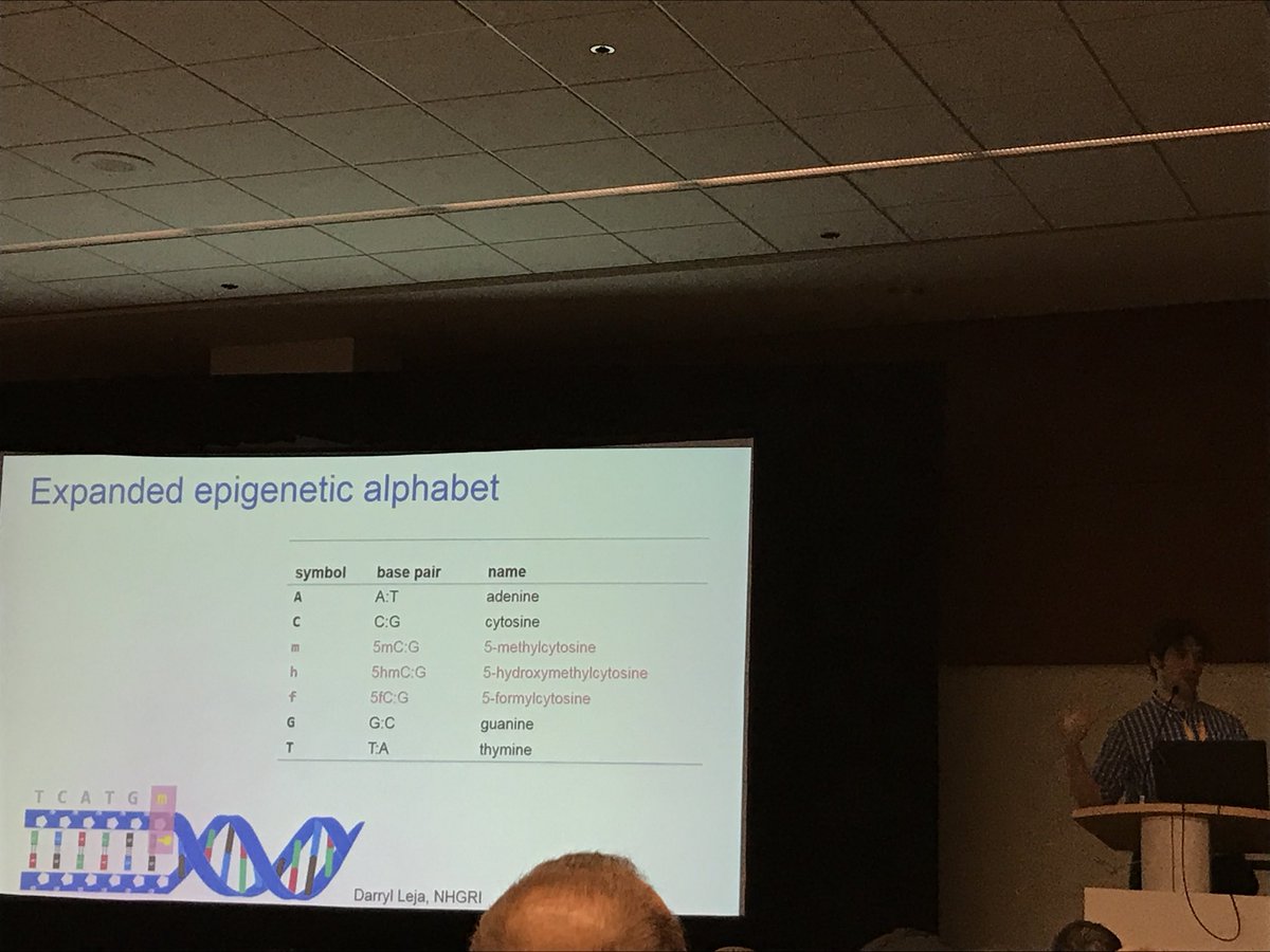 nicoleinscience's tweet photo. Michael Hoffman presenting on ‘I ❤️ DNA’ (His description!) @michaelhoffman #CCRAconf https://t.co/CcANlazJG1