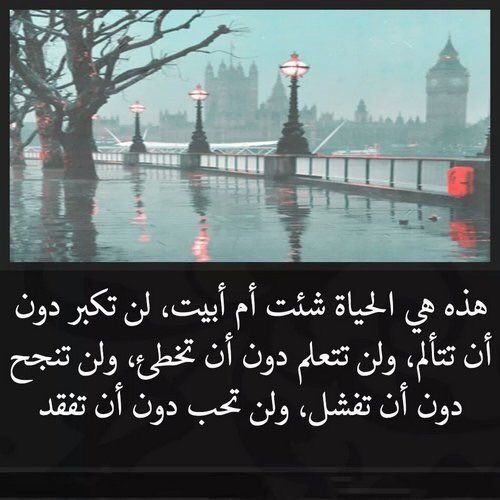 sweeeet200's tweet photo. مختصر الحياه... https://t.co/D5yZLvWFJc