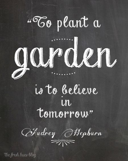 Garden design (@designgarde) on Twitter photo 