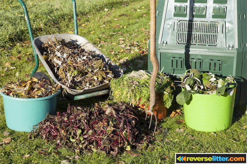 ReverseLitter's tweet photo. Today in our exclusive #newslitter: tips on taking care of your lawn and much more! https://t.co/6va1FYw40w https://t.co/dT2WZKPs42