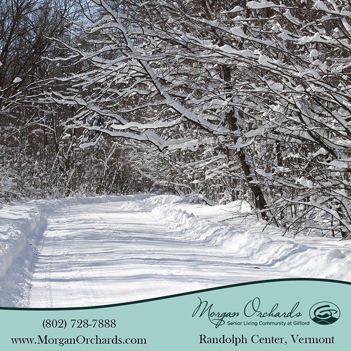 Morgan Orchards tweet media