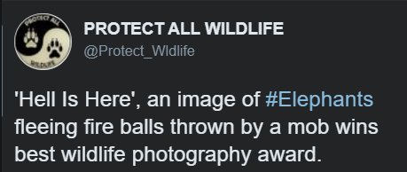 EveryoneIsDril's tweet photo. https://t.co/UrvwtWxy0y
