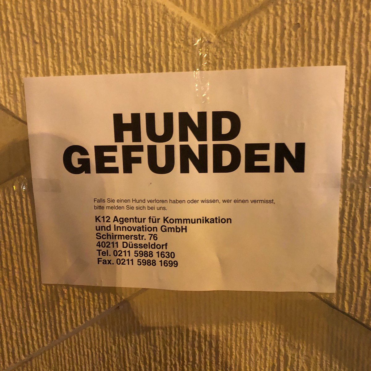 bjoernkorff's tweet photo. Du bist aus #Duesseldorf und vermisst deinen #Hund? Dann frag mal bei den Kollegen von @kzwoelf an. Die passen sicher gut auf ihn auf. https://t.co/YCyEz9snDw