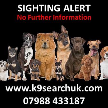 K9founddogs's tweet photo. 2980 
SIGHTING INFO ONLY 03.11.17 at approx 2.30 pm Heath Way, Shard End, B34 Staffie, female, brindle with a white neck, https://t.co/o9oVDdkef5