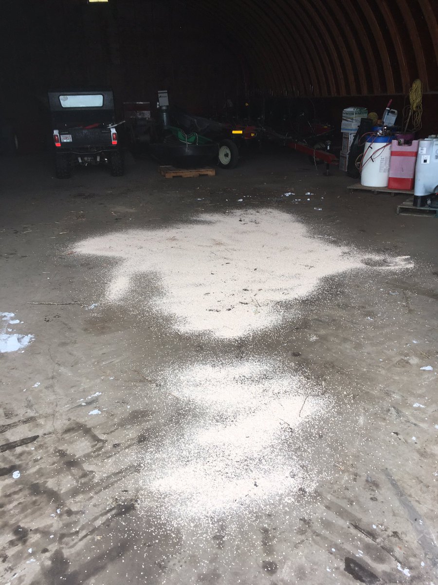 garnstar18's tweet photo. Forget hydraulic filters w/ the Manulift Merlo continuously clean oil system Just pour in a new bucket every day! #shitheap @180YieldFailure https://t.co/9ohIkWpruI