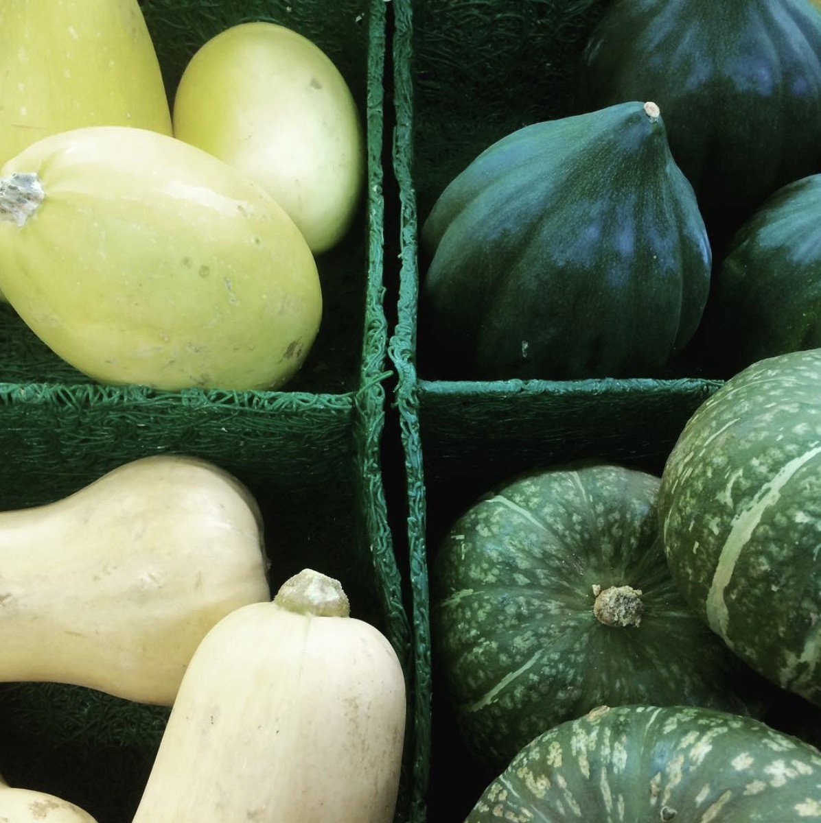 Whitney_Farms's tweet photo. Oh my squash! #squash #fallharvest (📸: IG yellowbarnabbotsford) https://t.co/G1tKkBp09G