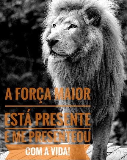 MusicaReggaeBR's tweet photo. Mas o leão de judá rugiu pra lhe dizer, que o amor está no viver🎵 @PontoOficial https://t.co/Vir8R9Fg12
