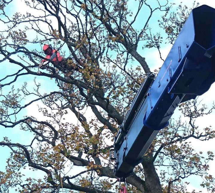 EpicTreeCare's tweet photo. Every job we do is covered by a Risk Assessment & Method Statement.
.
#Risk #RiskAssessment #Method #MethodStatement #arborist #treesurgery https://t.co/0esRuKln7t