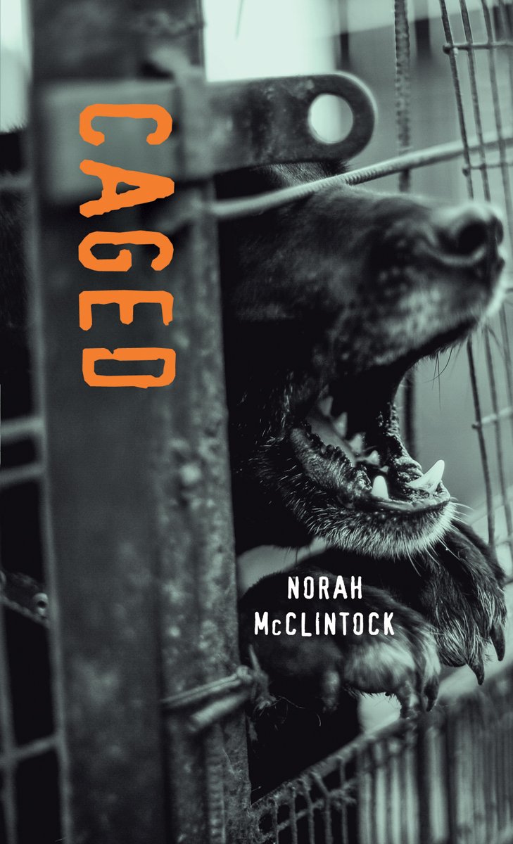 orcabook's tweet photo. CAGED by Norah McClintock publishes today! Happy book birthday! #OrcaSoundings #hilo
https://t.co/FjwFXQqmf3 https://t.co/iP94frU25e