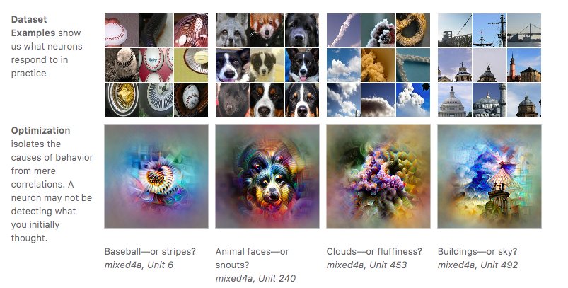 jackclarkSF's tweet image. Profound new ways to visualize what individual neural net neurons (and so much more!) learn, from @ch402 et al. distill.pub/2017/feature-v…