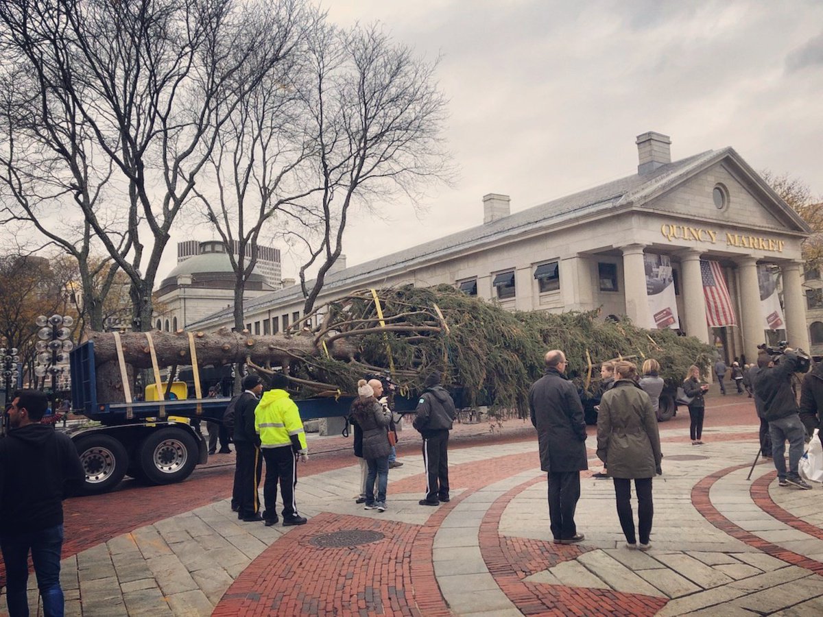 OnlyInBOS's tweet photo. 10 Tons.

50 Feet Wide.

83 Feet Tall.

Boston's first Christmas tree of the year has arrived at Faneuil Hall for the 2017 Holidays.

❤🎄❤ https://t.co/eRJkOECgbB