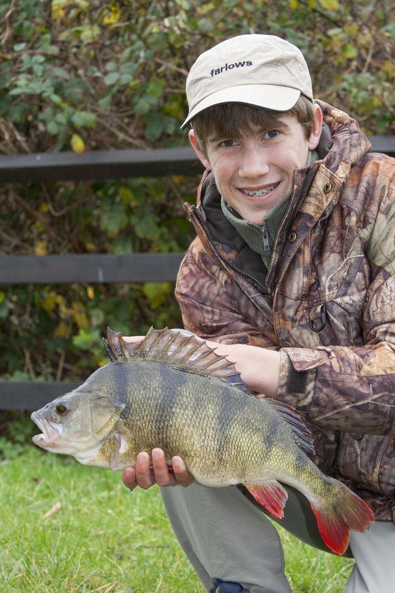 SamEdmonds1's tweet photo. Ten years ago today I landed my first ever 4lb+ Perch, weighing 4lb 3oz, on a Berkley Twintail - where has that time gone?! https://t.co/Aw1kEvb5GD