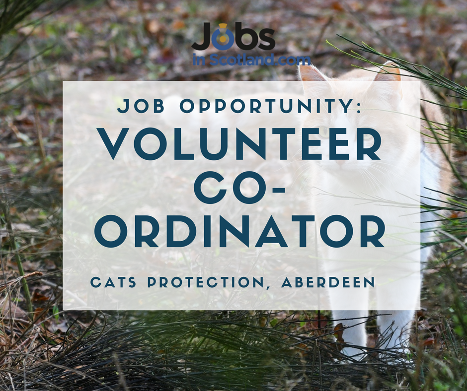 jobsinscotland.com tweet media