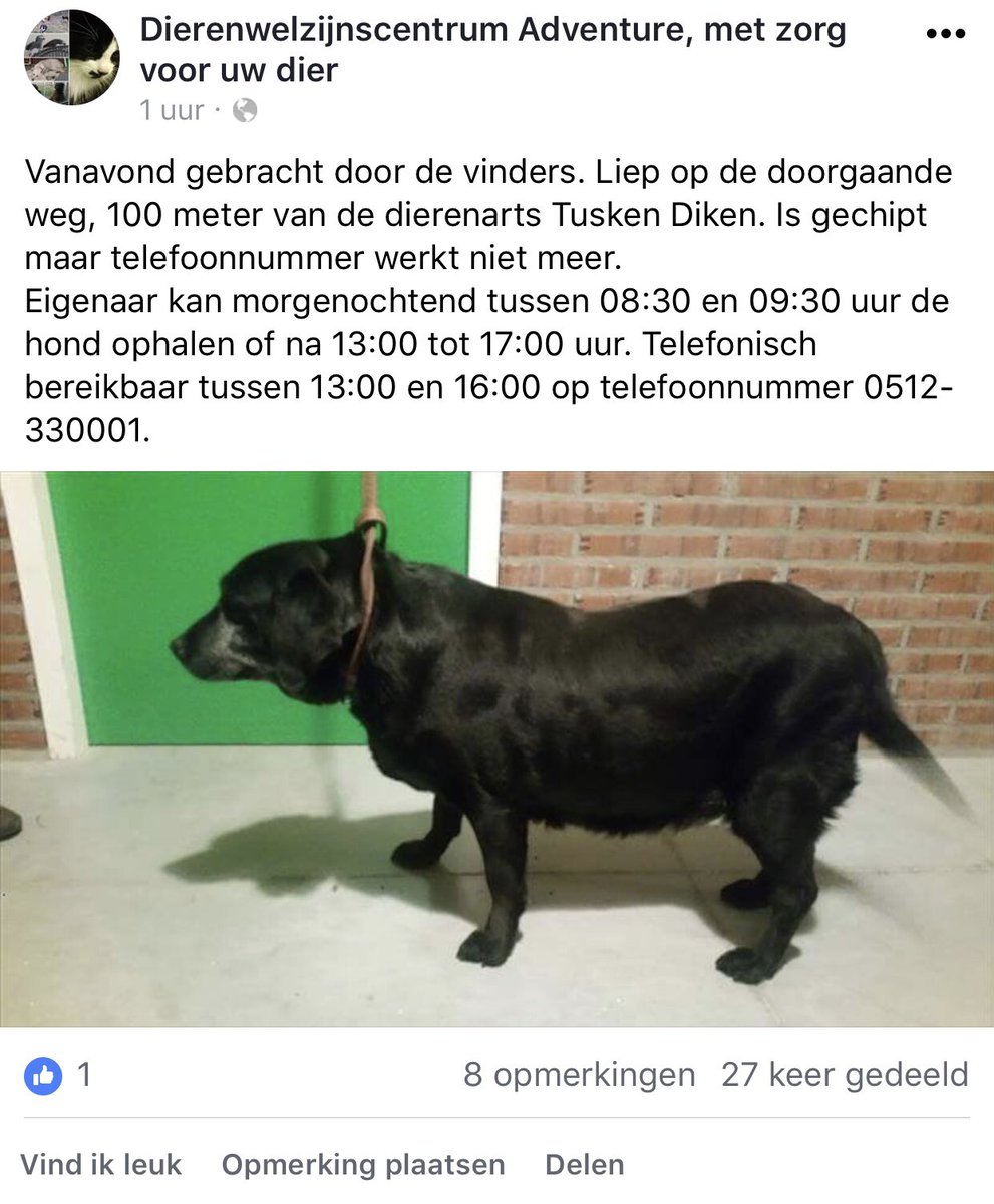 KellyJanineB's tweet photo. Onze Emma is terecht! Dbo’tje wordt nu een nachtelijk avontuurtje.. Je ziet haar balen😂. Bedankt voor het delen! https://t.co/quc1UqGlsQ