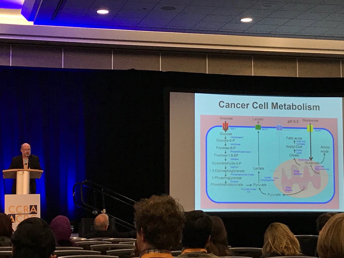 nicoleinscience's tweet photo. Three drivers of cancer metabolism: aerobic glycolysis, glutaminolysis, one carbon metabolism -David Wishart #CCRAconf https://t.co/a3A9Nar7cc
