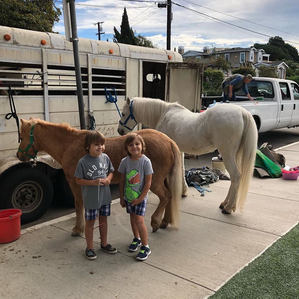 AJSteib's tweet photo. Farm animals at preschool https://t.co/EQPYfyImEn https://t.co/Iz4wJVKVOk