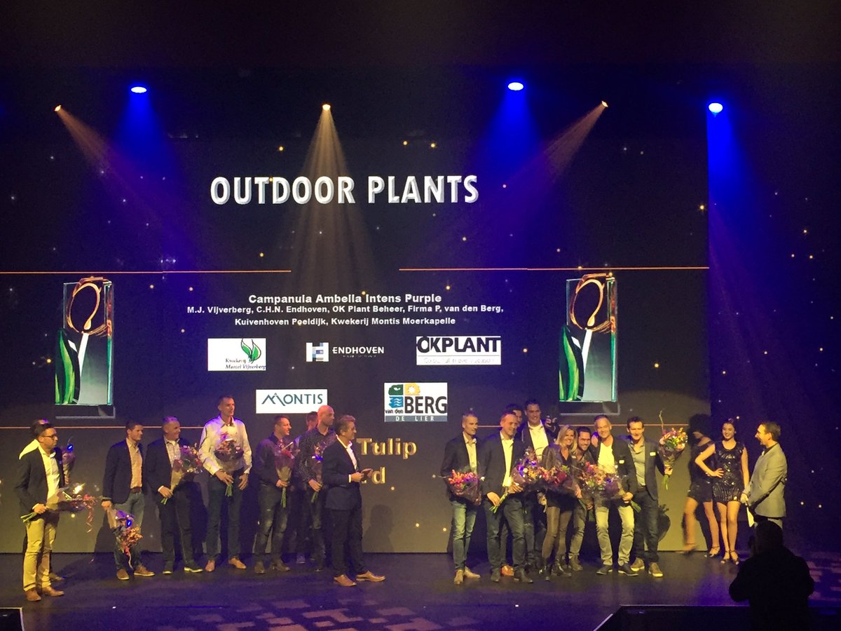 So proud! Addenda has won the Dutch Tulip Award 🌷for the Ambella Intense Purple 🥇