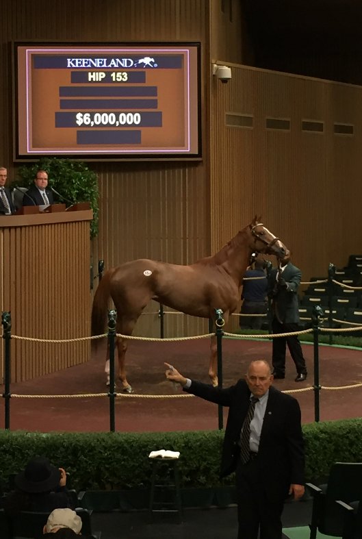 keenelandsales's tweet photo. Fireworks as multiple G1 winner STELLAR WIND brings $6M at #KeeNov from @coolmorestud!  Consigned by @LanesEndFarms. https://t.co/JM72sbKTFr