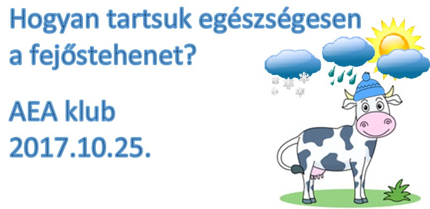 AEAHungary's tweet photo. Hogyan tartsuk egészségesen a fejőstehenet? Raiffeisen Bank EA gyakorlata #AEA klub 11.30 #entarch #AssociationEA https://t.co/QLgupUrv0Y https://t.co/nBcU14KHaZ