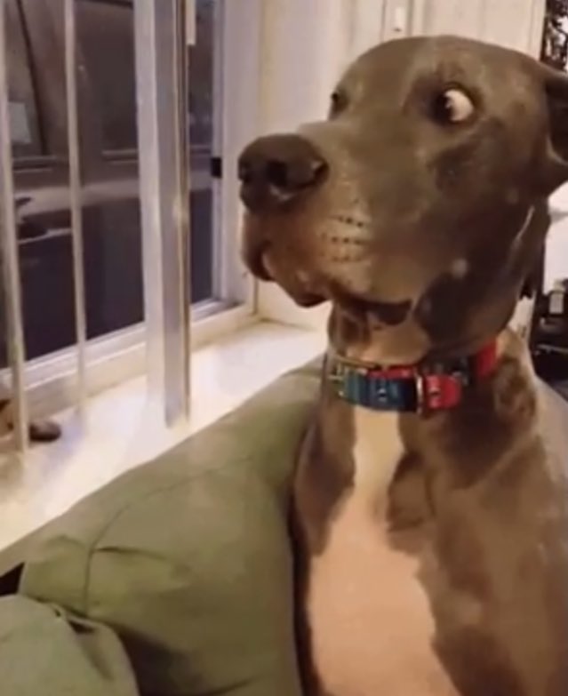 ABadDoSol's tweet image. Quando vejo que a desnecessária está perto demais do crush