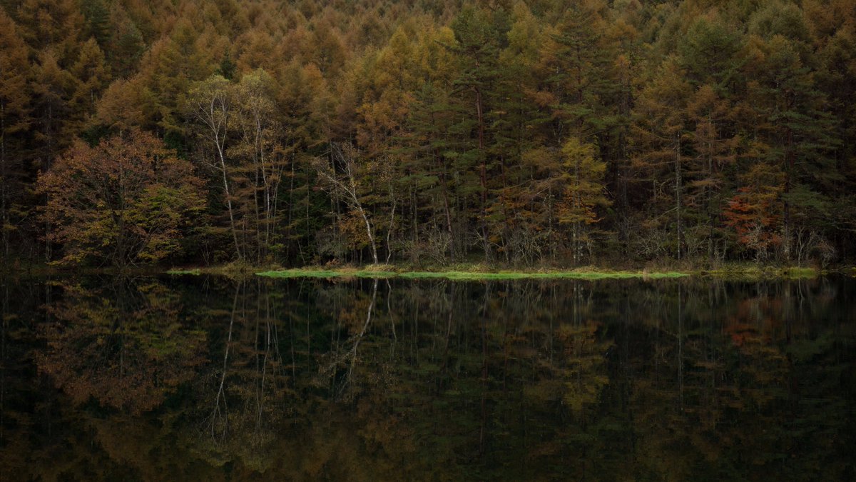 ukucame's tweet photo. #reflectiondelic https://t.co/D1HjMbK6b7