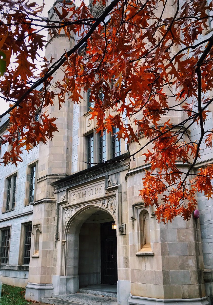 WilliamMotaz's tweet photo. Name a school that looks prettier than the University of Arkansas during the Fall... 

I'll wait 😍🍂🍁 https://t.co/xVc5Zs2ZkO