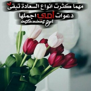 03llxx's tweet image. يا مُديم النعم أدم لي أمُي💛''
اللهم خذ من عافيتي لأمي فلا عُمر لي مِن دونها آحبش😩❤''

#دعواتكم_لـ أمي_بشفاء
#تكفي_امك_لاتزعلها
#زد_رصيدك36