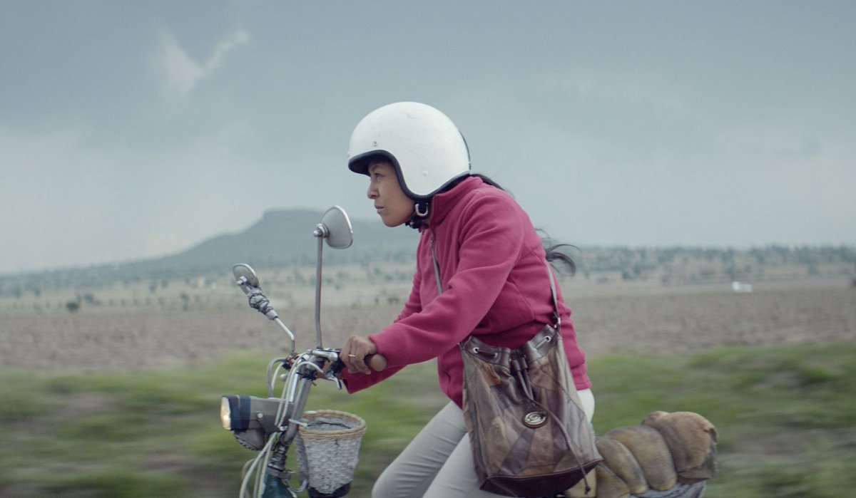 BFI's tweet photo. "All five minutes of this mother's heartwarming adventure put a smile on our faces." Watch the latest #NETWORKPick ๐https://t.co/u20CdUpUP7 https://t.co/O01F2ggHcY