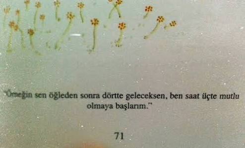 küçük prens'in en sevdiğim satırları