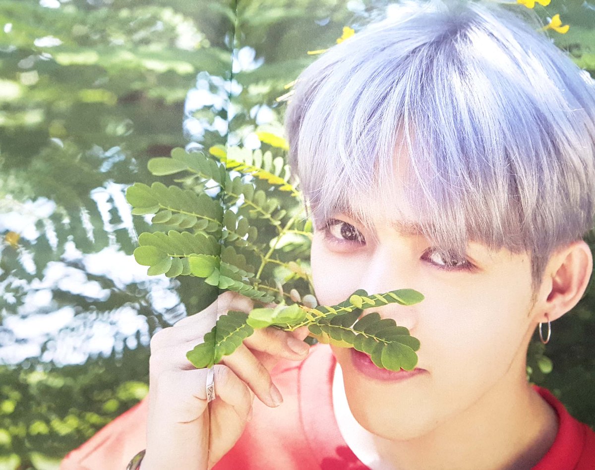 SCoupsBrasil's tweet photo. [#SCAN] S.Coups no photobook de TEEN, AGE.
Cr: scoups_svt https://t.co/lSRVfD2UKa