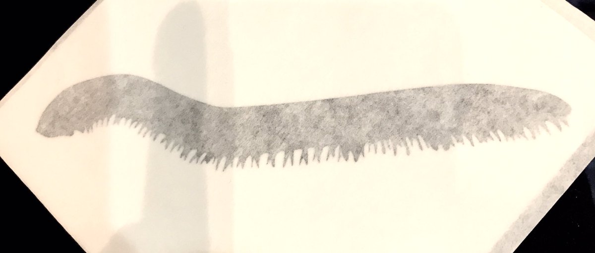 Custom millipede sticker from the University of Illinois EGSA #EntSoc17 #legsfordays