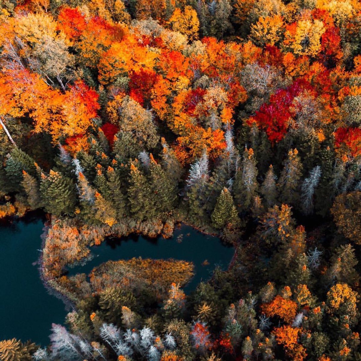 seasonaIvibes's tweet photo. Fall colors https://t.co/b8fTta5Lp6