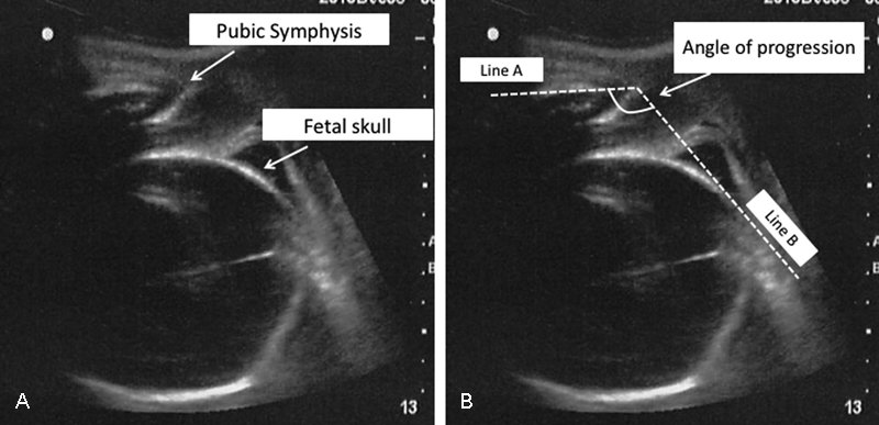 SC Ob/Gyn Society tweet media