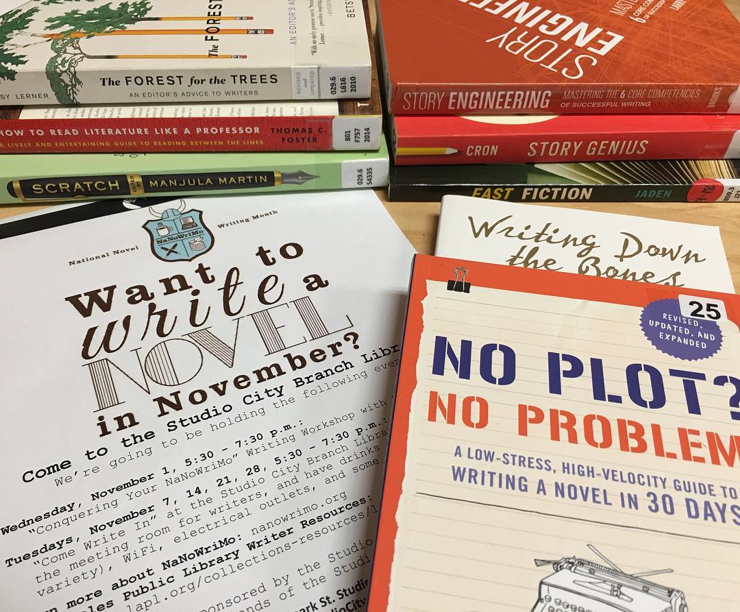 Nanowrimo books