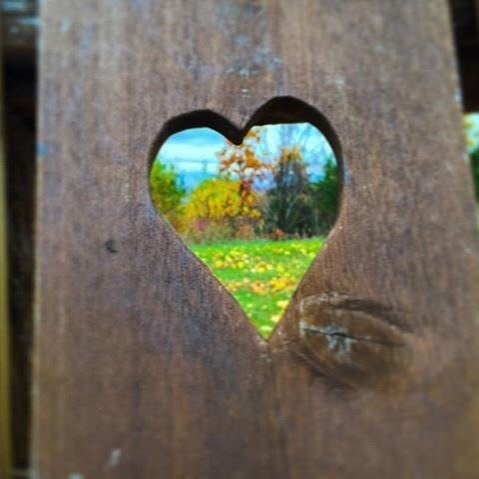 mohonkpreserve's tweet photo. #MohonkPreserve #Mohonk #Bench #Nature #Landscape #Scenery #Outdoors #Hike #HudsonValley #HVCompass #VisitVortex #… https://t.co/3hXSMHlVFq https://t.co/YupTiNPNl9