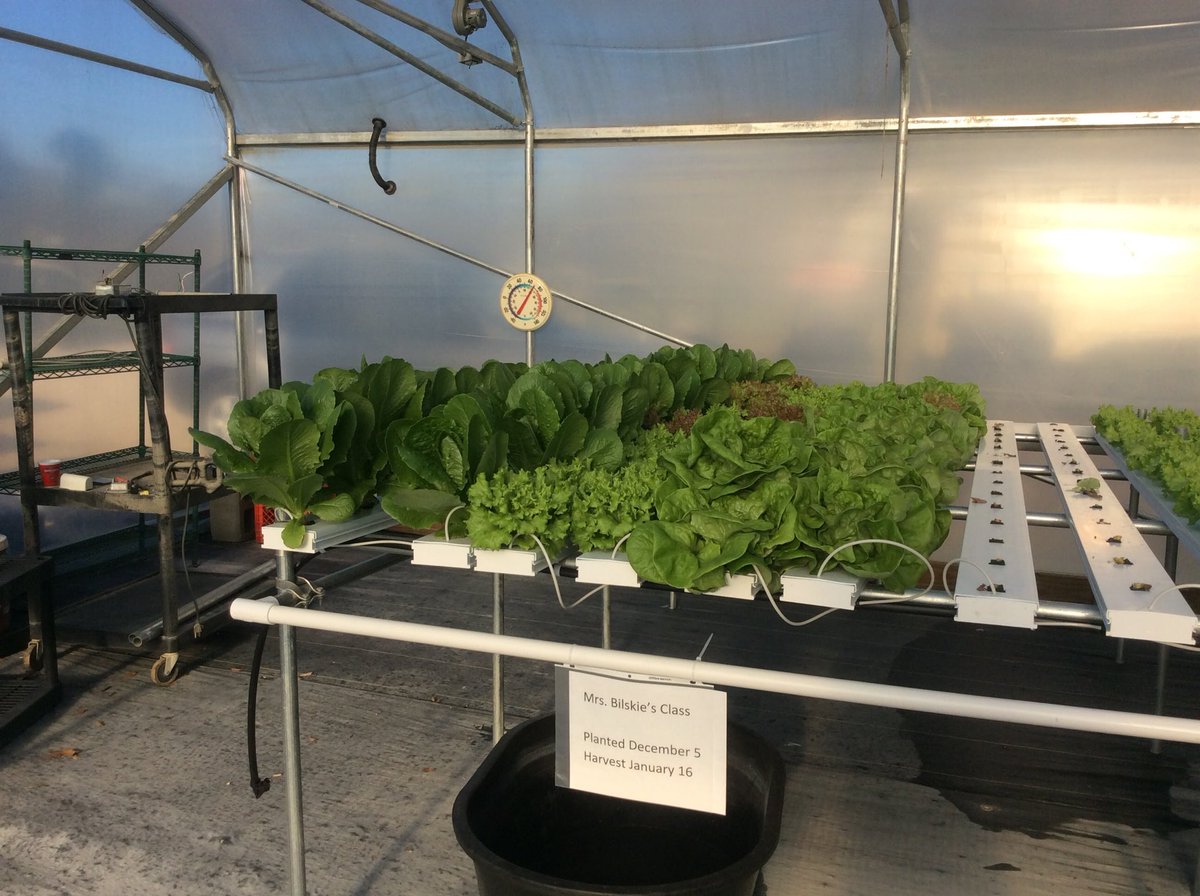 Lauren_Bilskie's tweet photo. There is something so unique about children learning how to grow their own food. One of my favorite places @EpiscopalBR #KnightsDaily https://t.co/BVKYGeHUD2