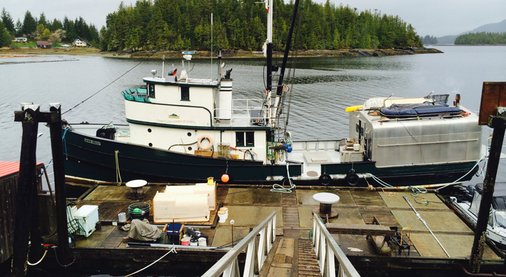 The cavalry has arrived, and not a moment too soon! #LogCabinKings