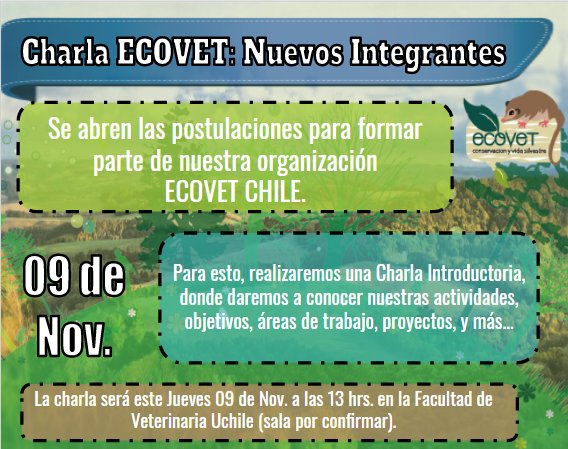 EcovetChile's tweet photo. Más información en: https://t.co/80hxZOYiuk https://t.co/lQgmFHW12r